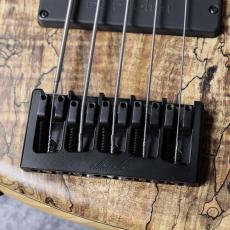elrick e-volution 5 Bolt-on 35inch Curly Black Line Spalted Maple Top【3.44kg】【決算セール 目玉品】_3