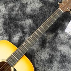 Morris M-011 HS -Performers Edition-【アクセサリーセットサービス!】_5