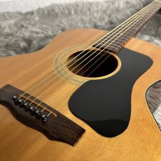 Guild F-30 NT【現物画像】_3