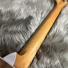 Taylor 214ce Walnut【現物画像】【最大36回分割無金利キャンペーン実施中】_11