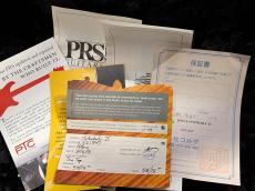 Paul Reed Smith [PRS] Hollowbody II Piezo 10Top 2015_11