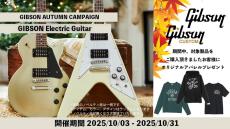 Gibson Victory Figured Top Smokehouse Burst【S/N 225040302】_10