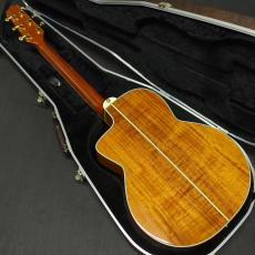 Takamine DSP620K_2