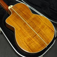 Takamine DSP620K_4