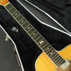 Takamine DSP620K_5