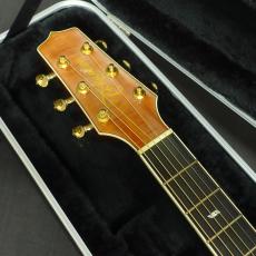 Takamine DSP620K_7