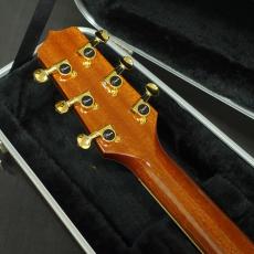 Takamine DSP620K_8