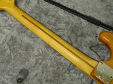 Fender American Professional II Stratocaster RW Roasted Pine【2024年製】_6