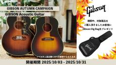 Gibson J-45 Standard HCS_10
