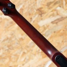 VOX VFU-1-RB LTD Concert_7