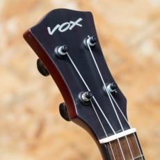 VOX VFU-1-RB LTD Concert_8