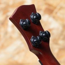 VOX VFU-1-RB LTD Concert_9