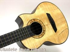Akira Niihori Ukulele [Crocodile] セミテナー スポルテッドカーリー栃/インディアンローズウッド #03036_6