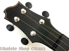 Akira Niihori Ukulele [Lizard] グランドコンサート スポルテッドカーリー栃/インディアンローズウッド #05032_13