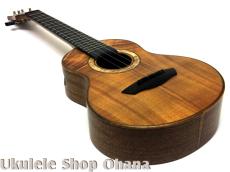 Akira Niihori Ukulele [Lizard] グランドコンサート ハワイアンコア/アフリカンマホガニー(裏1P) #05031_8