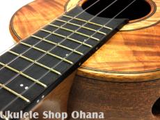 Akira Niihori Ukulele [Lizard] グランドコンサート ハワイアンコア/アフリカンマホガニー(裏1P) #05031_15