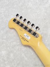 FUJIGEN NTE100MAH Off White Blonde【A240639】【3.58kg】_10