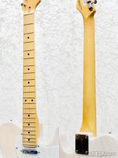 FUJIGEN NTE100MAHT WB【B260124】【3.36kg】_7