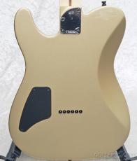 Fender 【アウトレット】Limited Edition Jim Root Telecaster -Shoreline Gold-【3.69kg】【MX26050952】_2