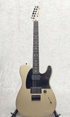 Fender 【アウトレット】Limited Edition Jim Root Telecaster -Shoreline Gold-【3.69kg】【MX26050952】_3
