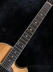 Kikuchi Guitars MF15S Blackwood (2025 Limited Model)【中古品】【2.08kg】【日本製】_6