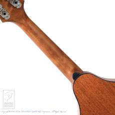 Eastman PCH-M104/GB_6