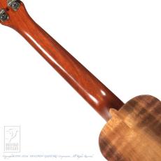 Antar Soprano Long neck Walnut_6