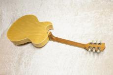 Archtop Tribute AT205MD_4