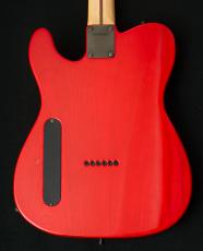 FERNANDES TE-95T【JUDY AND MARY TAKUYAモデル】【USED】_9