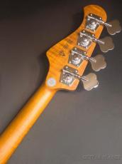 Bacchus WL4-STD/RSM -BGM-【4.30kg】_9