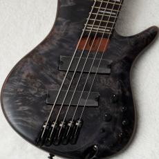 Ibanez SRMS805 -Deep Twilight / DTW- #260815741 [4.06kg]