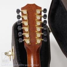 Taylor PS-54ce Presentation (Jacaranda)_6