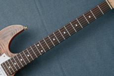 FUJIGEN EOS2-FM-R -Ripe Kaki Gradation- RKG【3.75kg】【Made in Japan】_9