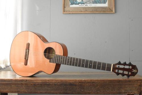 aNueNue Bird Guitar aNN-MN14