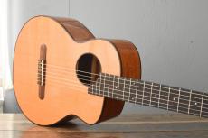 aNueNue Bird Guitar aNN-MN14_2