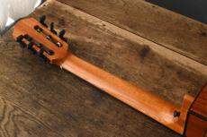 aNueNue Bird Guitar aNN-MN14_4