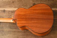 aNueNue Bird Guitar aNN-MN14_5