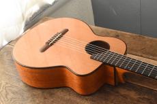 aNueNue Bird Guitar aNN-MN14_6