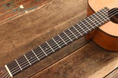 aNueNue Bird Guitar aNN-MN14_8