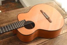 aNueNue Bird Guitar aNN-MN14_9