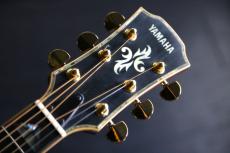 YAMAHA LX-Special ハカランダ単板 カスタムオーダーモデル