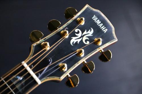 YAMAHA LX-Special ハカランダ単板 カスタムオーダーモデル