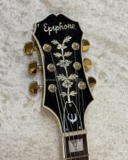 Epiphone Emperor_5