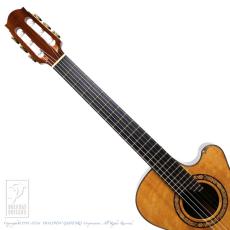 WATER ROAD GUITARS Pulchra (Nylon Strings) =Luthier's Re-Certification=_6