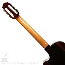 WATER ROAD GUITARS Pulchra (Nylon Strings) =Luthier's Re-Certification=_7