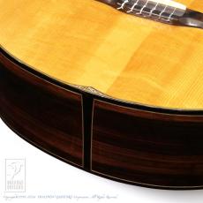 WATER ROAD GUITARS Pulchra (Nylon Strings) =Luthier's Re-Certification=_15