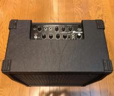 POLYTONE mini-Brute IV_2