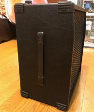 POLYTONE mini-Brute IV_4