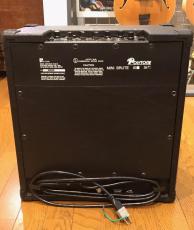 POLYTONE mini-Brute IV_6