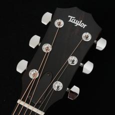 Taylor 214ce Walnut 【B級特価!】【動画あり】【48回無金利】【トリファイドスプルース】【細目ネック】_3